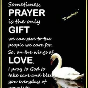 Meet your Posher, Evet